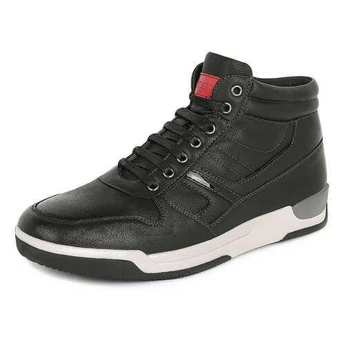 Ботинки мужские T.Taccardi K5141MH-2A черные 41 RU в FiNN FLARE
