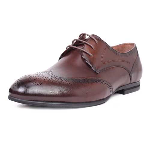 Туфли мужские Pierre Cardin 710017789 коричневые 42 RU в FiNN FLARE