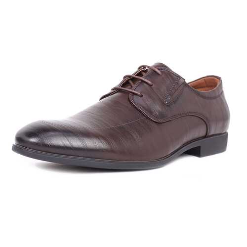 Туфли мужские T.Taccardi 03406360 коричневые 42 RU в FiNN FLARE