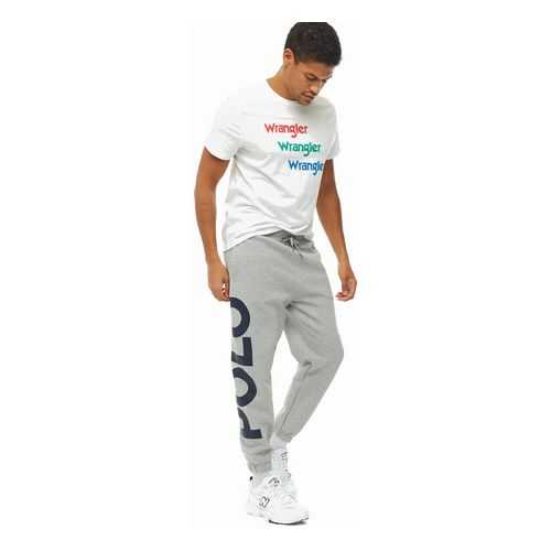 Брюки мужские Polo Ralph Lauren 710781441001 серые XXL в FiNN FLARE